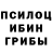 Галлюциногенные грибы MAGIC MUSHROOMS Akyl Kambarov