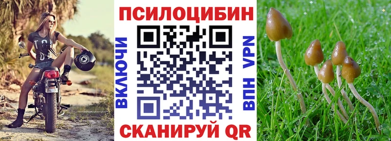 Псилоцибиновые грибы MAGIC MUSHROOMS  блэк спрут tor  Исилькуль  цена  